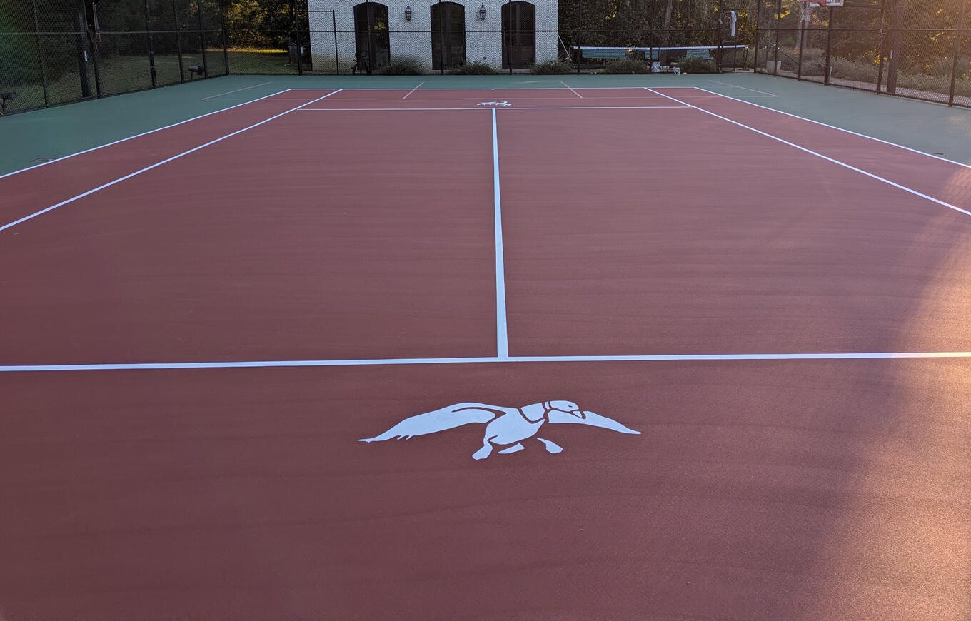 Court with a custom logo at center